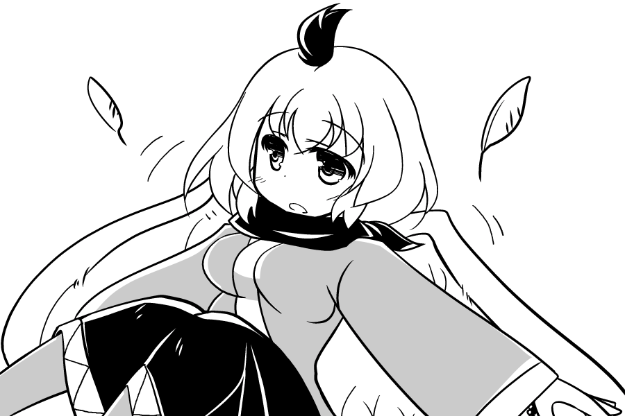 とりの日パック 鳥